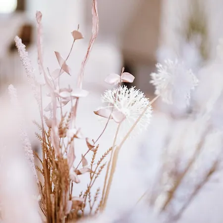 Visama, Moderne An Der Fulda-aue Fulda