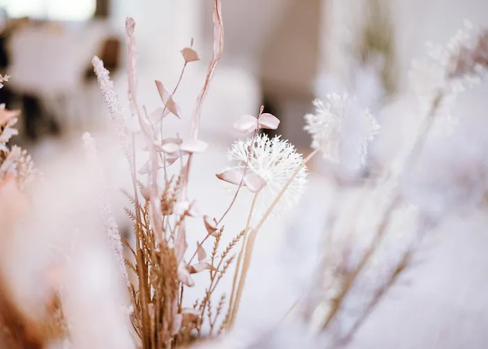 Visama, Moderne An Der Fulda-aue 풀다